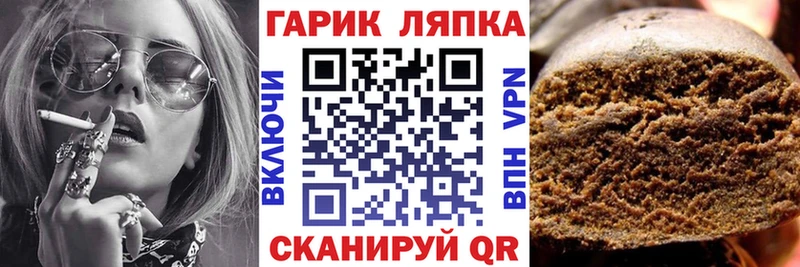 ГАШ Premium  Плавск 
