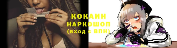 тгк Магадан