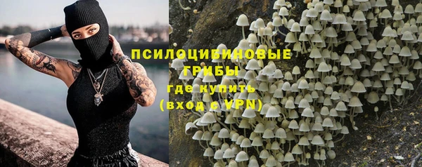 МДПВ Магас
