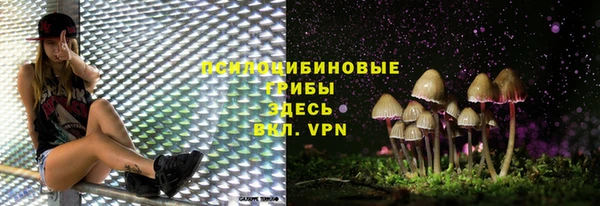 МДПВ Магас