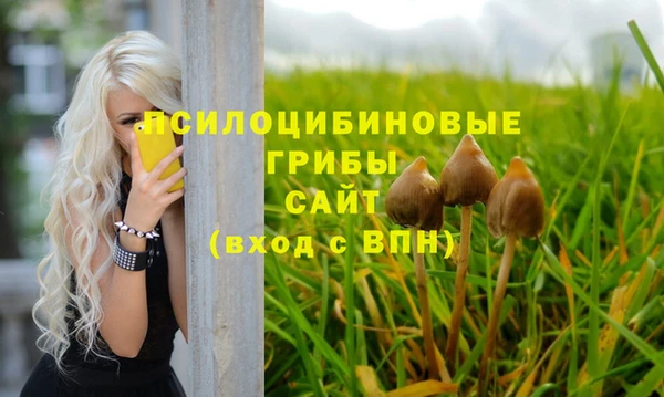 МДПВ Магас